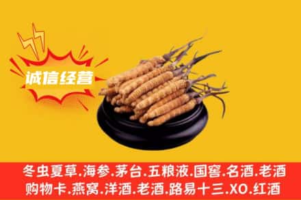 汉中市洋县回收冬虫夏草